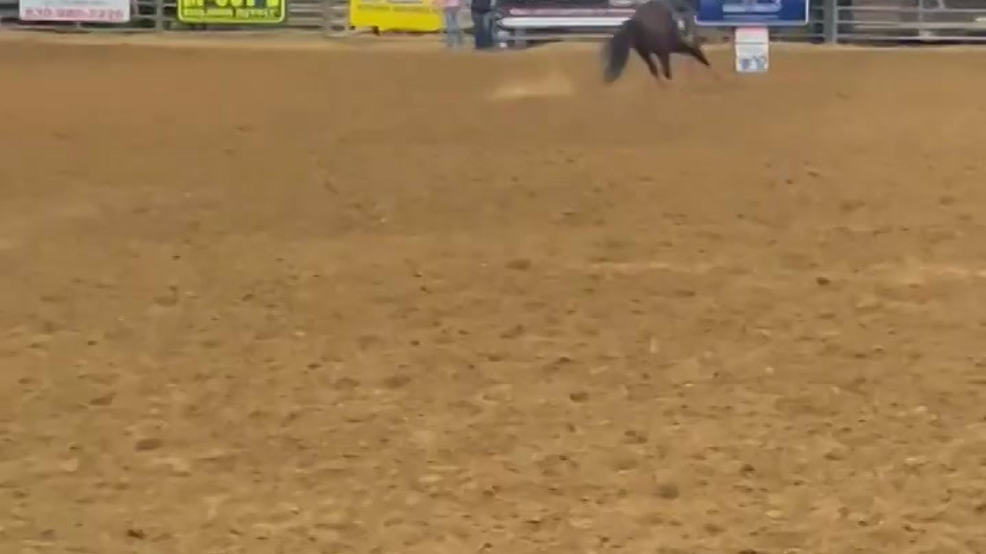 Rachel & Shania - Tejas Rodeo Win 15.7
